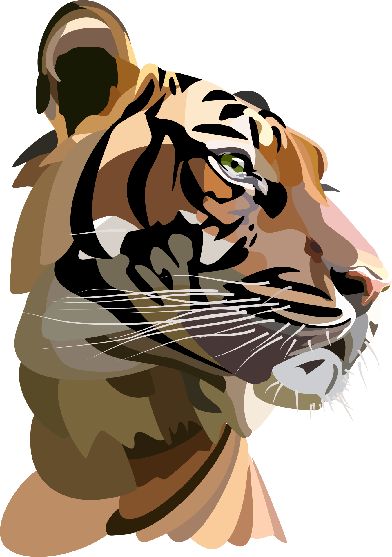  imagen de la cara de un tigre